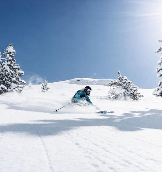 Ski Experience Hotel AnyósPark Suites & Homes La Massana Ski Experience Hotel AnyósPark Suites & Homes La Massana