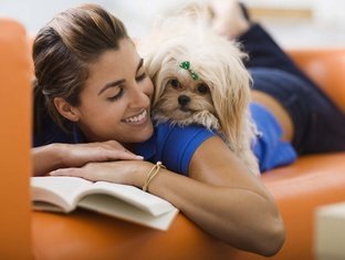 APARTHOTEL ADMISSIÓ DE MASCOTES APARTHOTEL ADMISSIÓ DE MASCOTES